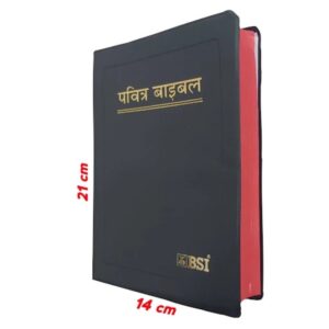 Holy Hindi Bible (BSI) – Pavitra Bible in Hindi Language
